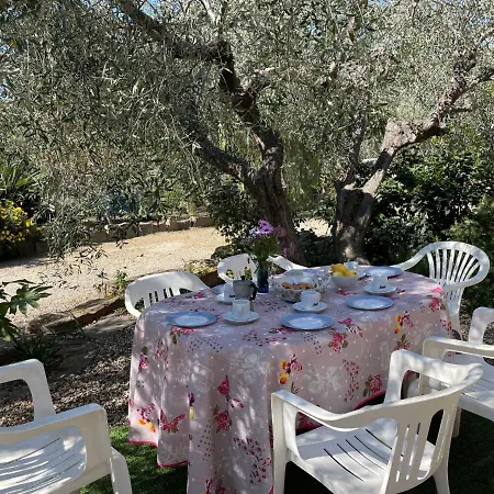 Olivo - Pgi128 By Interhome Appartamento *