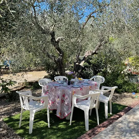 Apartmán Olivo - Pgi128 By Interhome Poggi