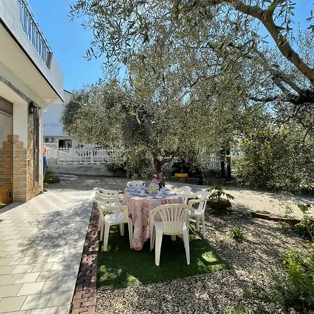 Olivo - Pgi128 By Interhome