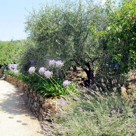 Olivo - Pgi128 By Interhome Poggi