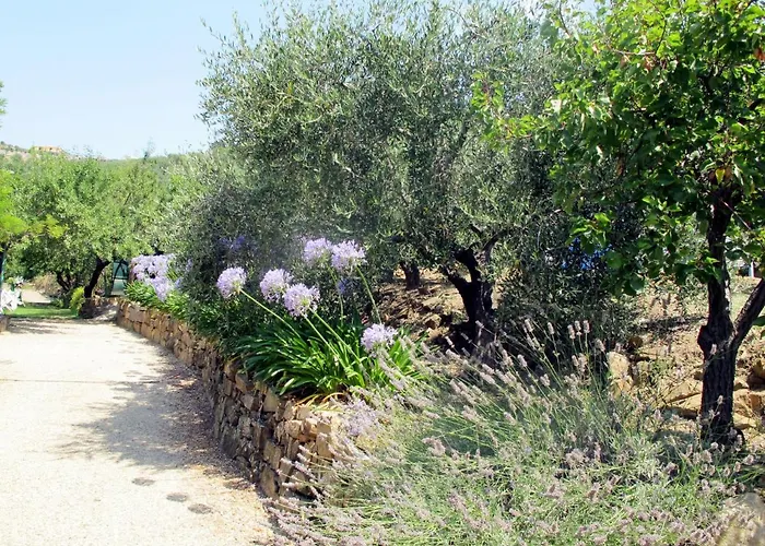 Olivo - Pgi128 By Interhome Poggi