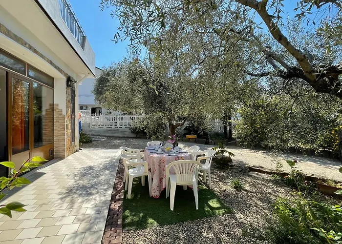 Olivo - Pgi128 By Interhome